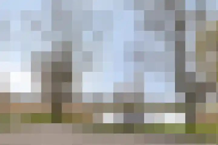Maasdijk 11 Hedel thumbnail 29
