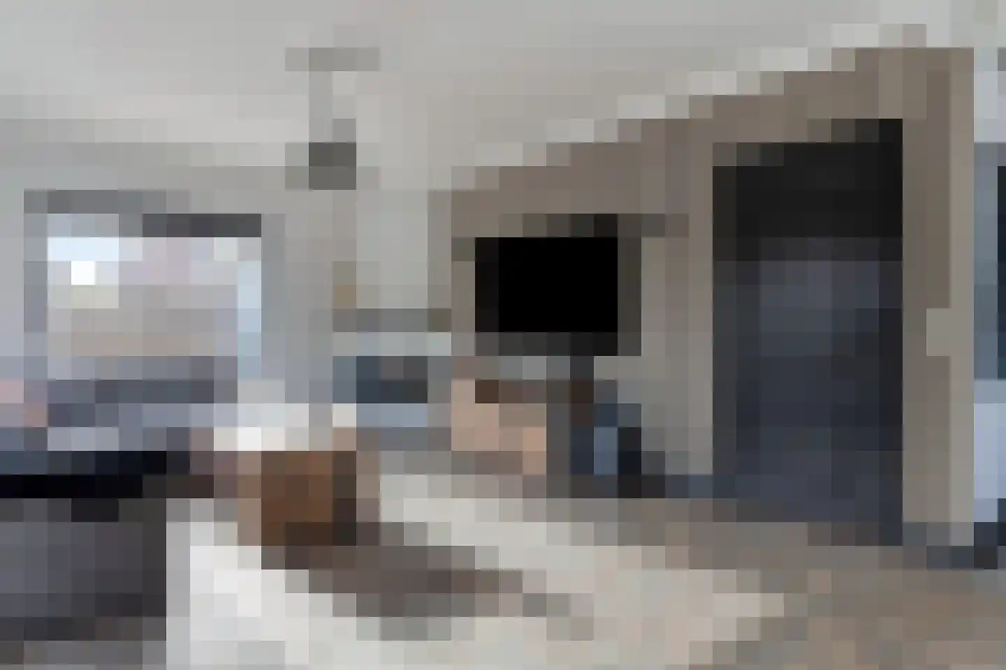 Maasdijk 11 Hedel thumbnail 4