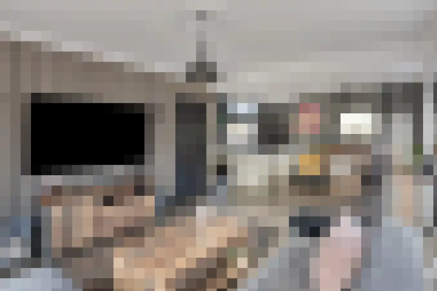 Maasdijk 11 Hedel thumbnail 5