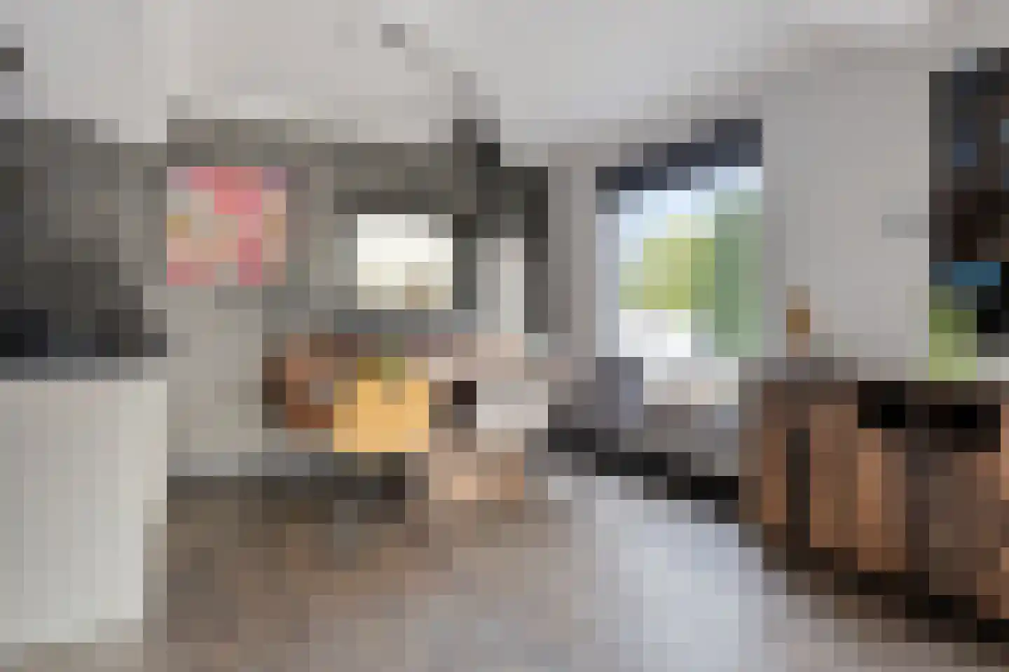 Maasdijk 11 Hedel thumbnail 6