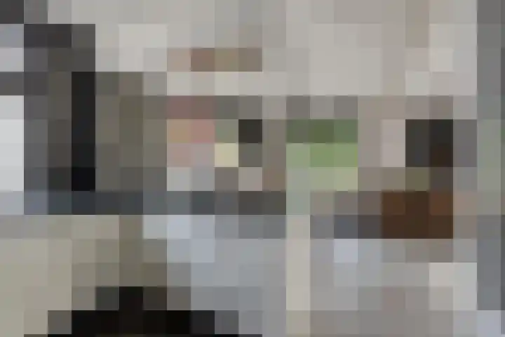 Maasdijk 11 Hedel thumbnail 7