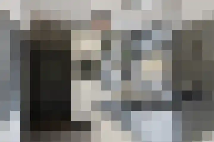 Maasdijk 11 Hedel thumbnail 8