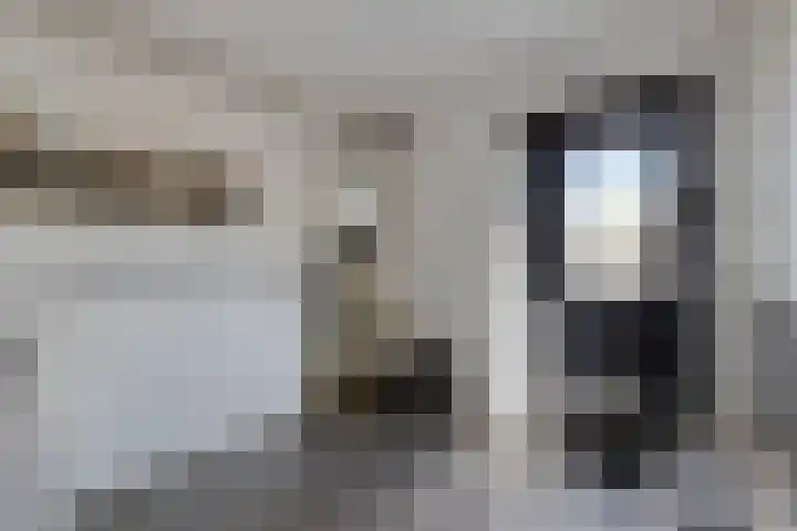 Maasdijk 11 Hedel thumbnail 9