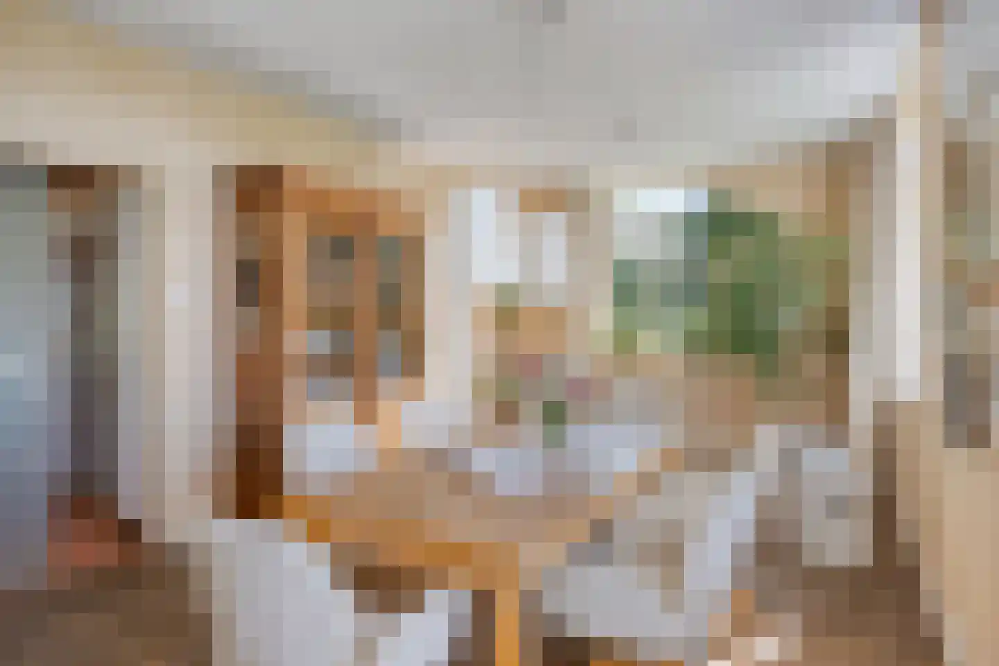 Maasdijk 11 Nederasselt thumbnail 12