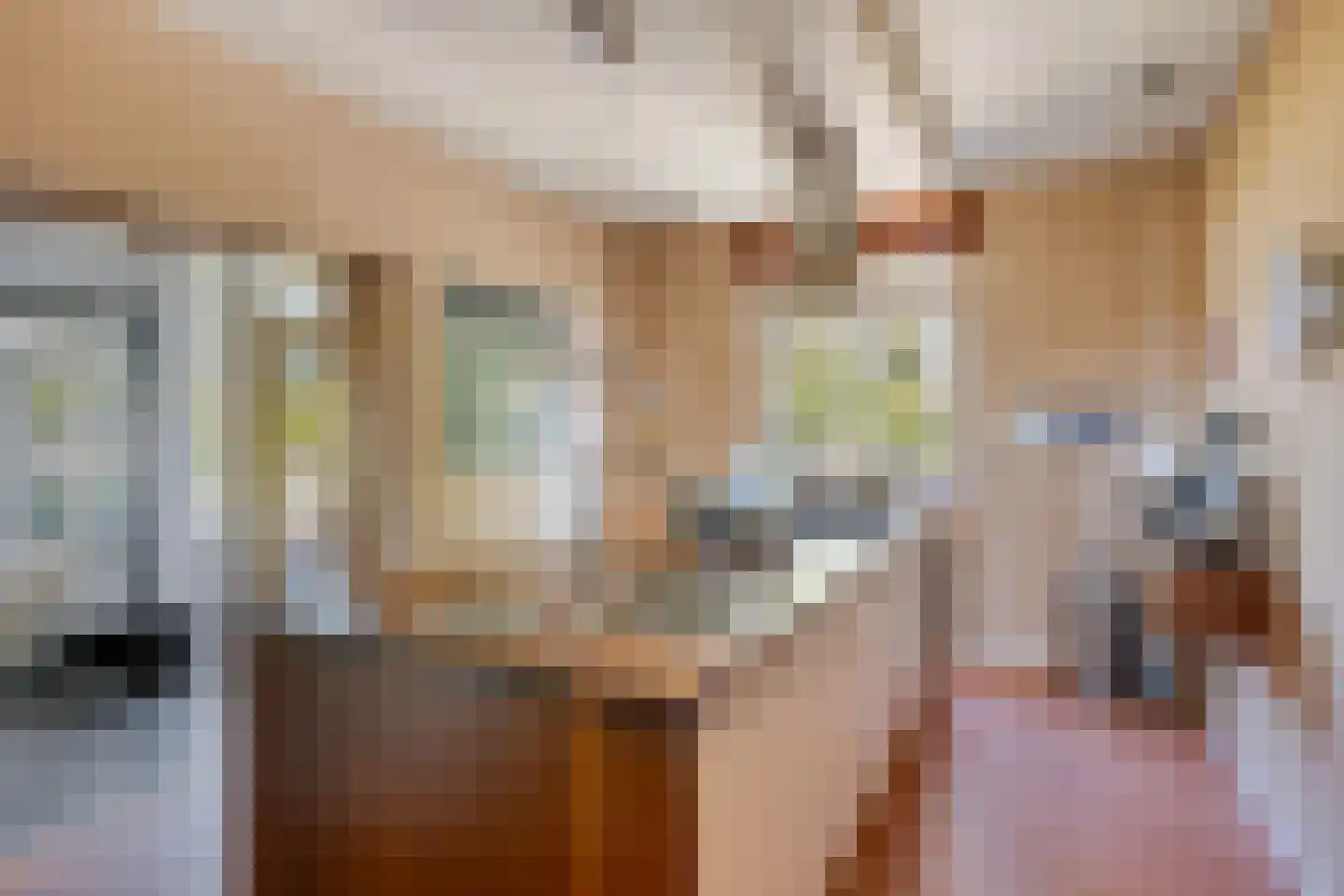 Maasdijk 11 Nederasselt thumbnail 15