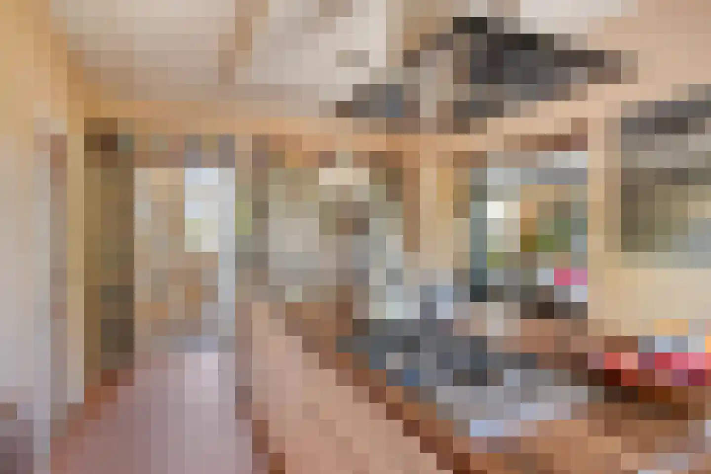 Maasdijk 11 Nederasselt thumbnail 16