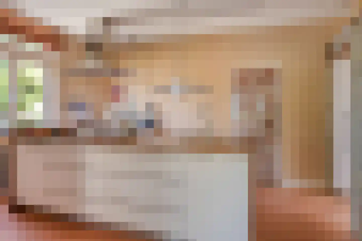 Maasdijk 11 Nederasselt thumbnail 17