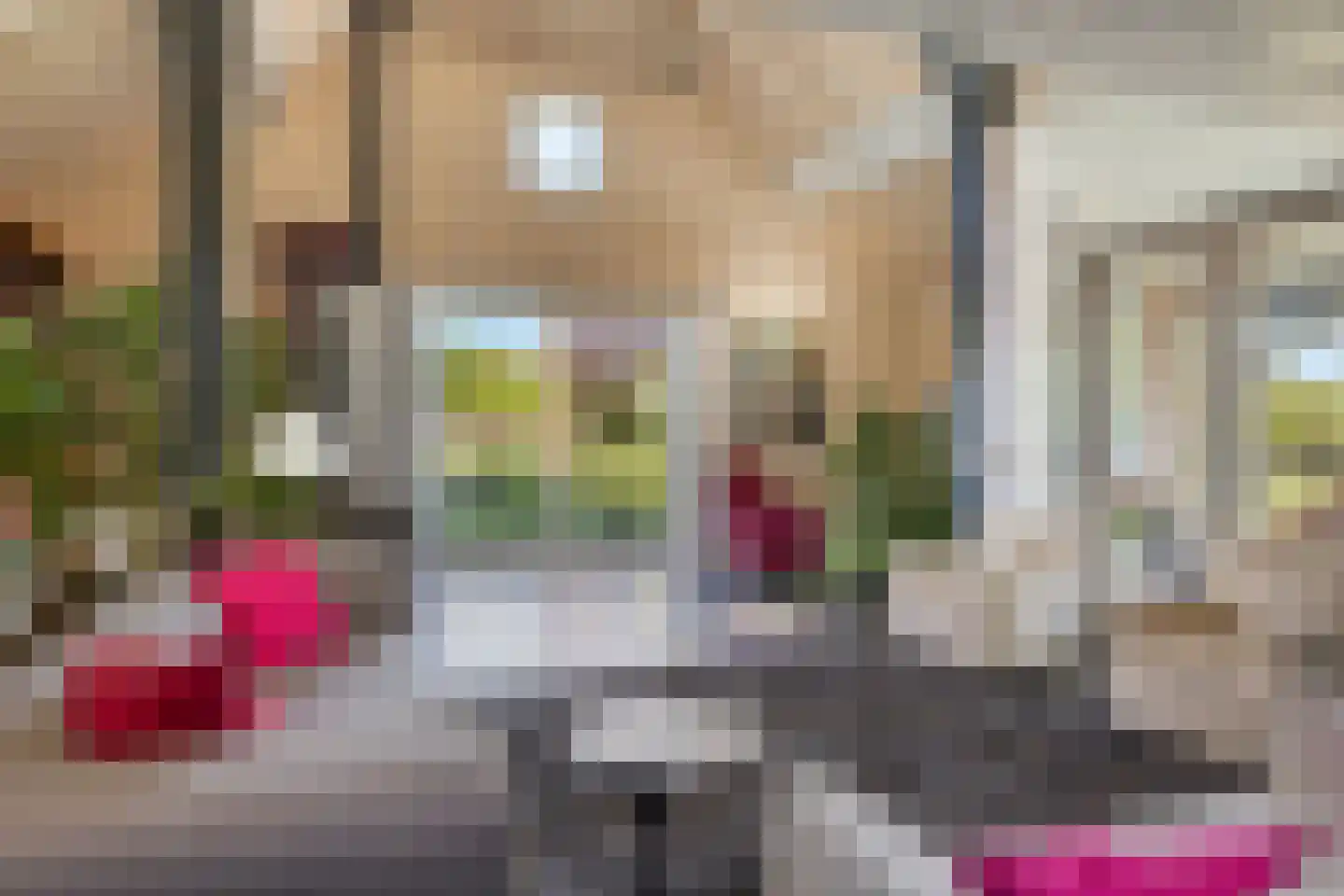 Maasdijk 11 Nederasselt thumbnail 18