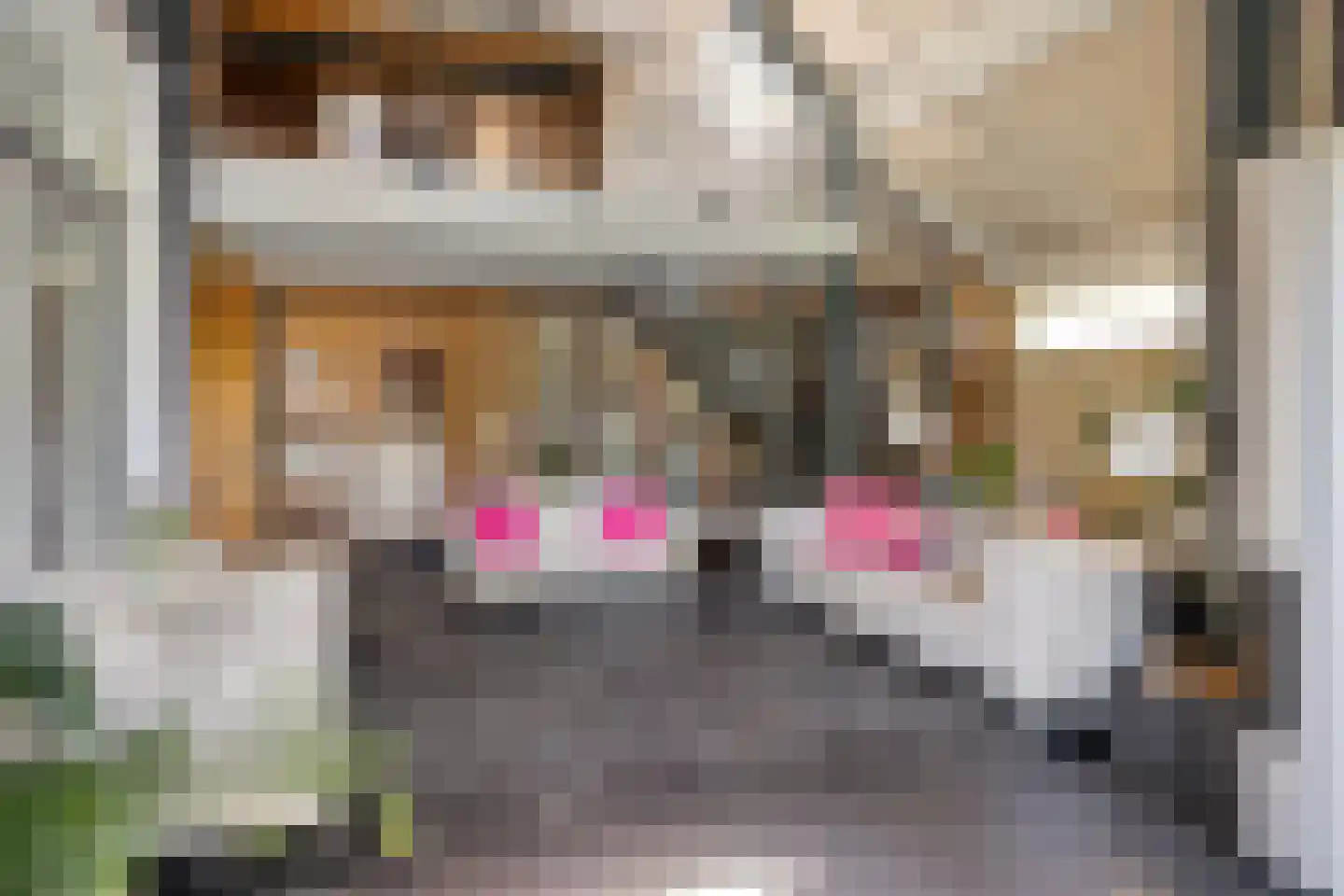 Maasdijk 11 Nederasselt thumbnail 19