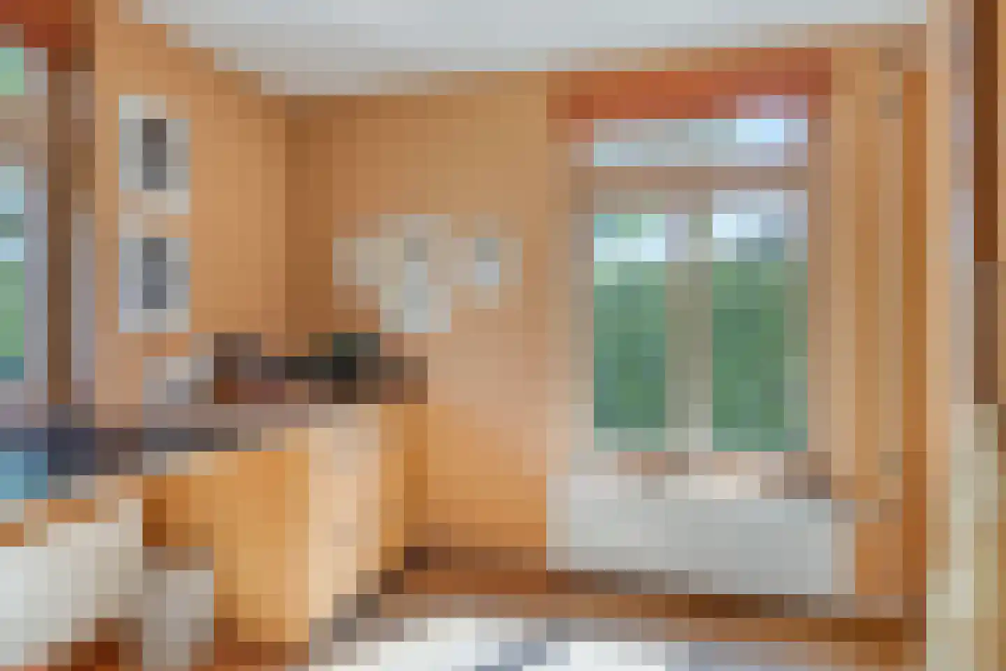 Maasdijk 11 Nederasselt thumbnail 24