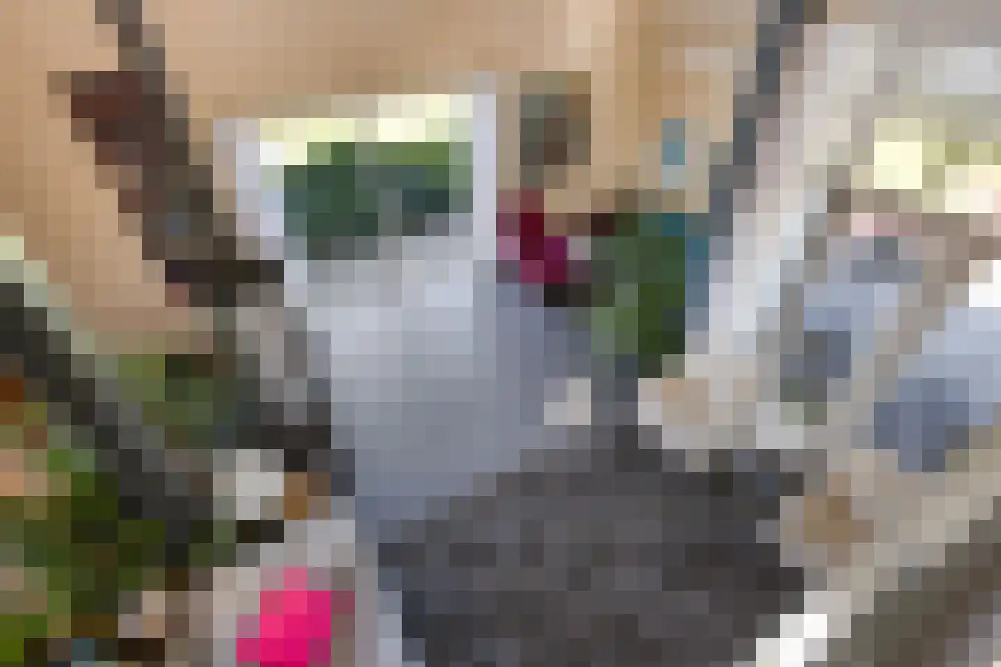 Maasdijk 11 Nederasselt thumbnail 27
