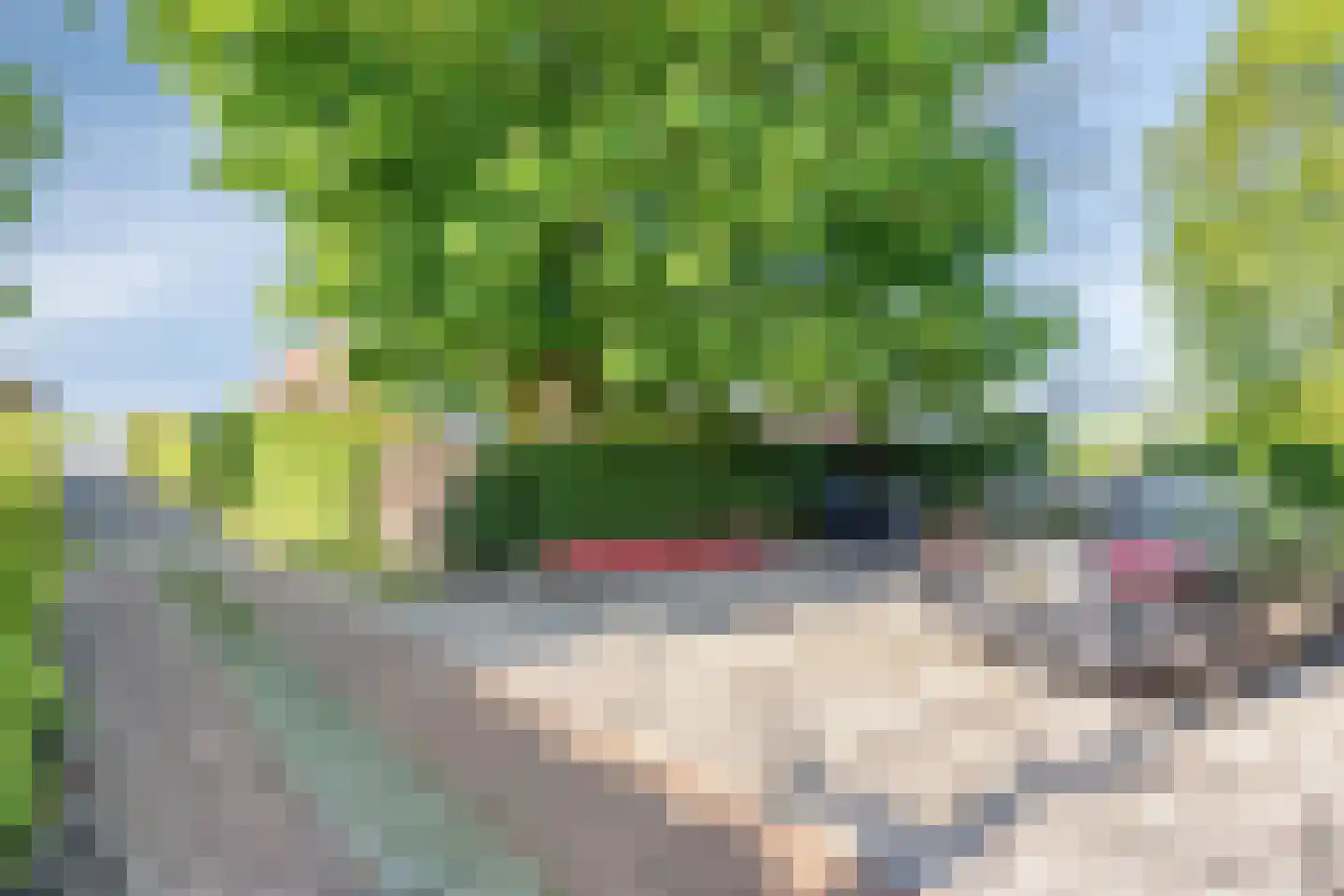 Maasdijk 11 Nederasselt thumbnail 35