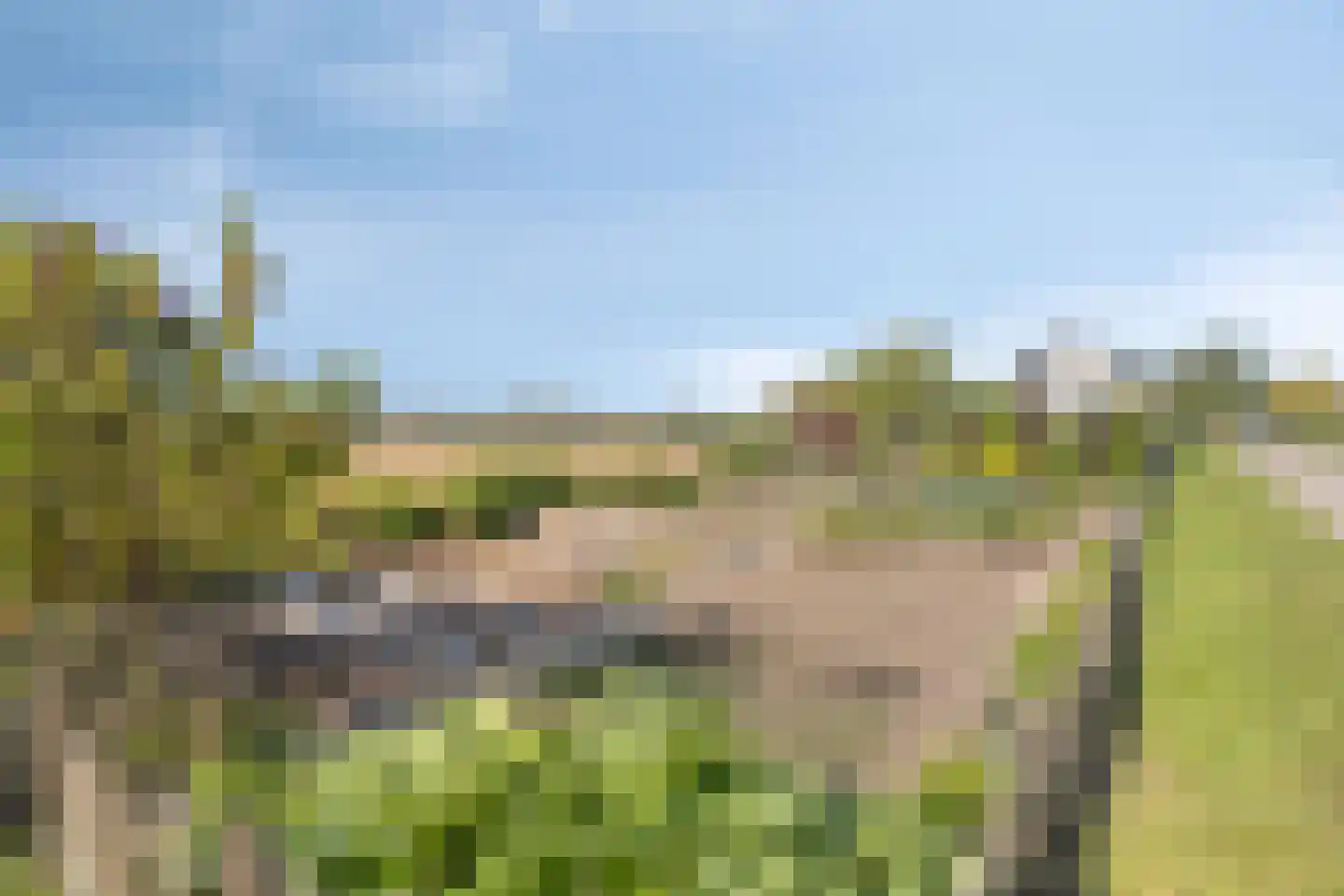 Maasdijk 11 Nederasselt thumbnail 36