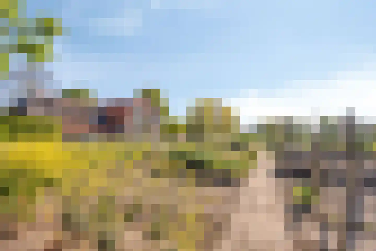 Maasdijk 11 Nederasselt thumbnail 37