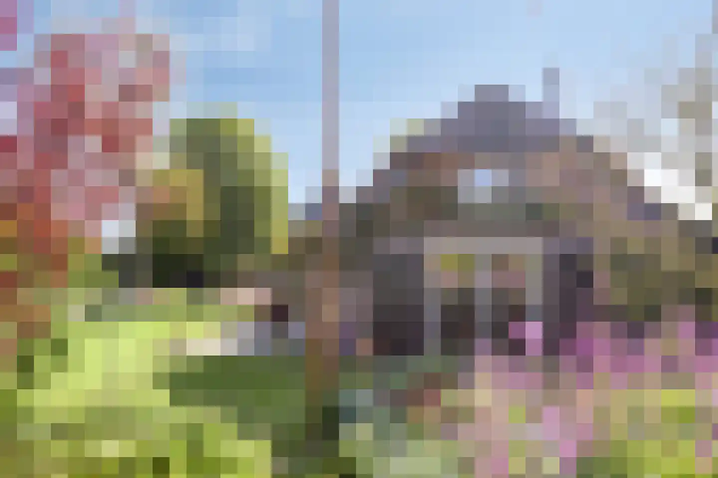 Maasdijk 11 Nederasselt thumbnail 38