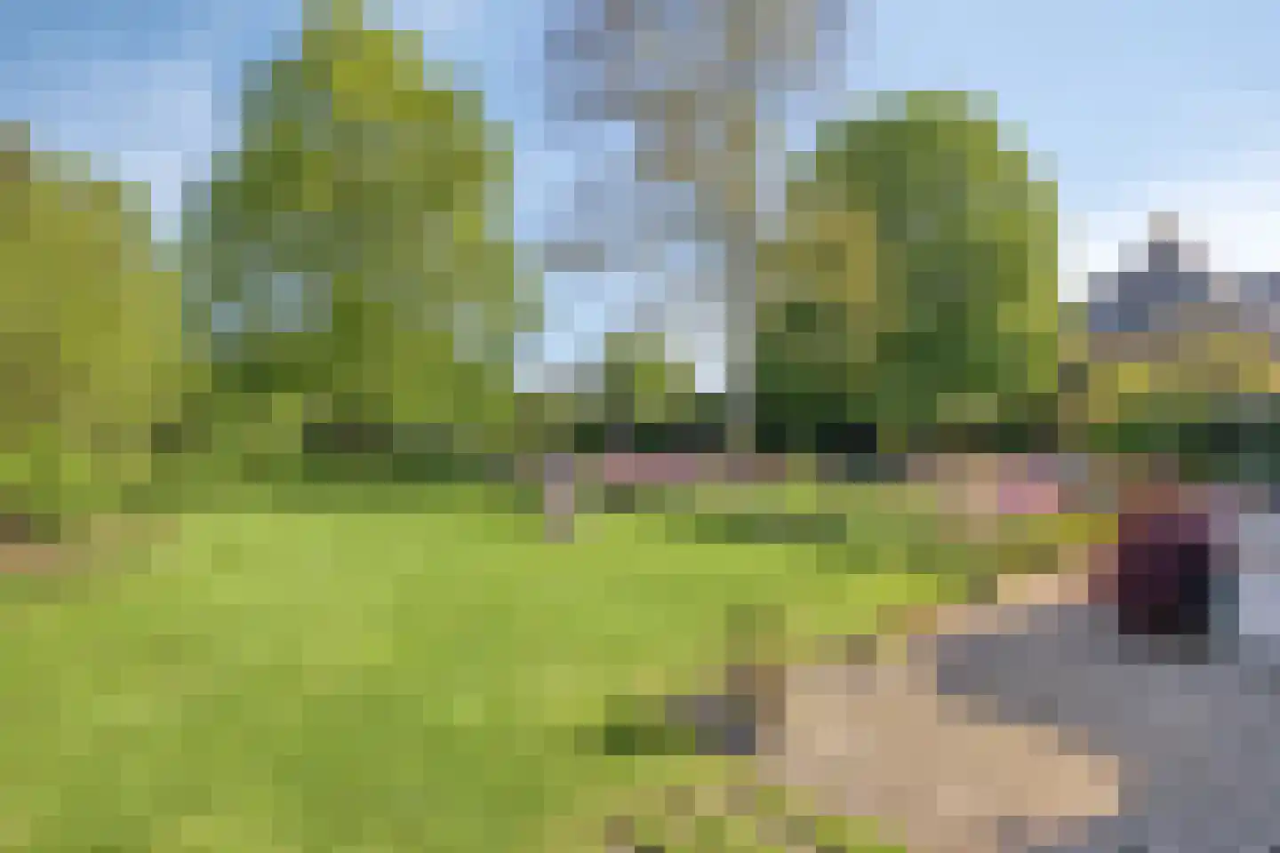 Maasdijk 11 Nederasselt thumbnail 41
