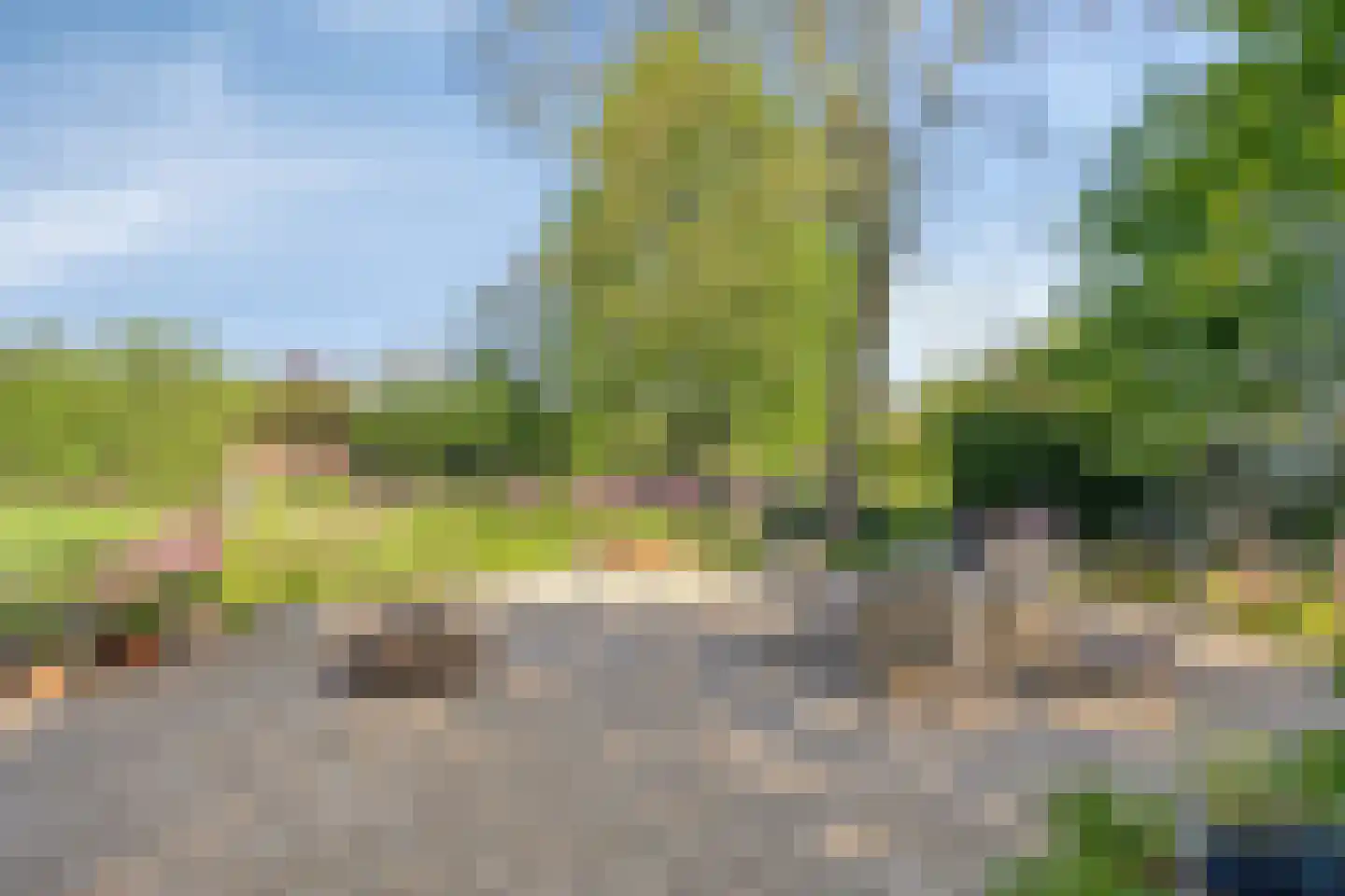 Maasdijk 11 Nederasselt thumbnail 42