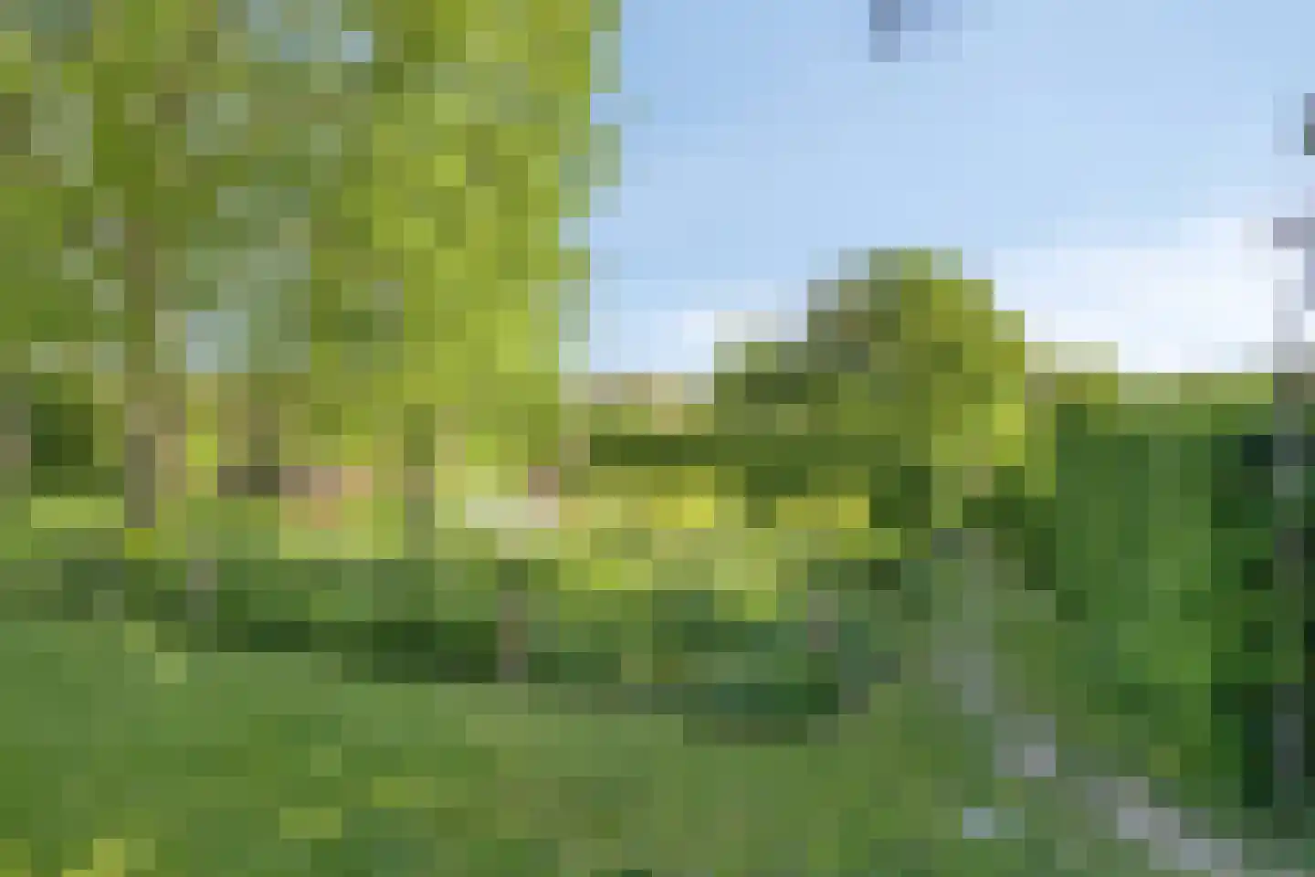 Maasdijk 11 Nederasselt thumbnail 43