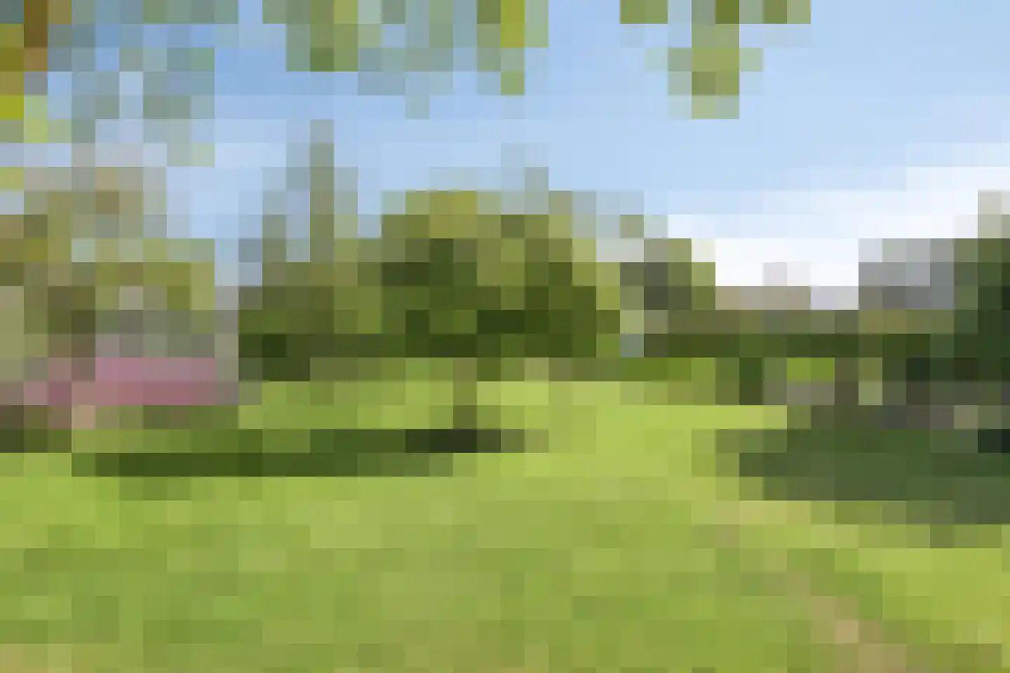 Maasdijk 11 Nederasselt thumbnail 46