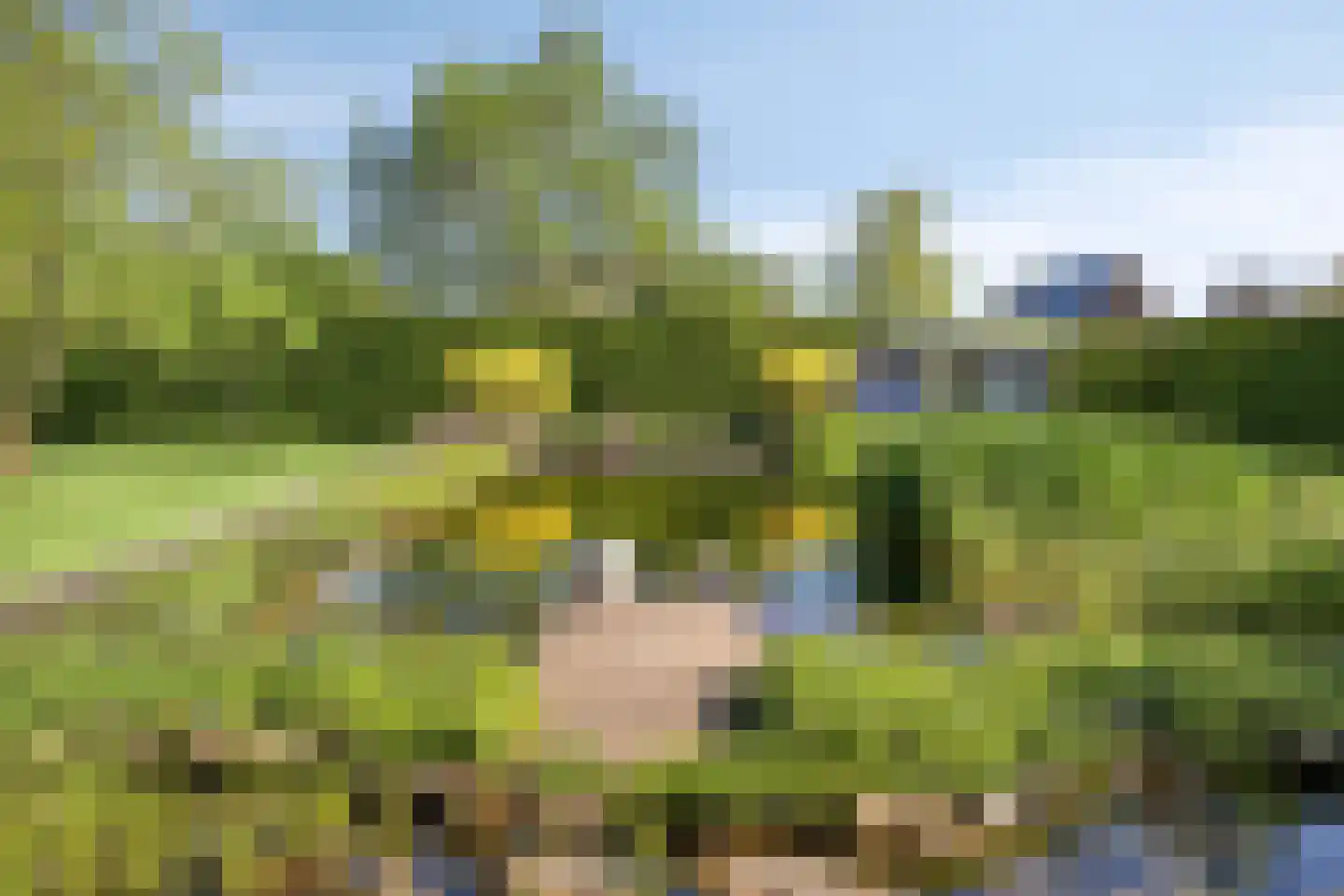 Maasdijk 11 Nederasselt thumbnail 47
