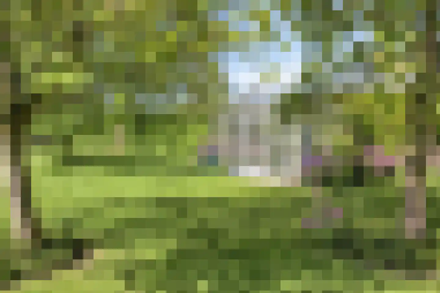 Maasdijk 11 Nederasselt thumbnail 49