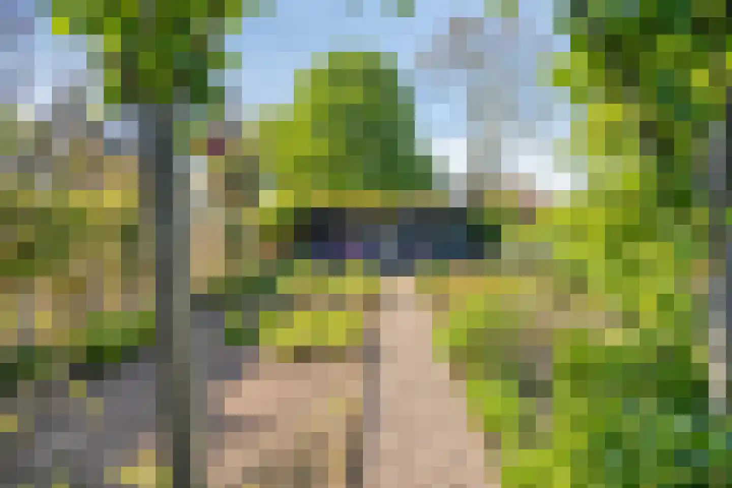 Maasdijk 11 Nederasselt thumbnail 52