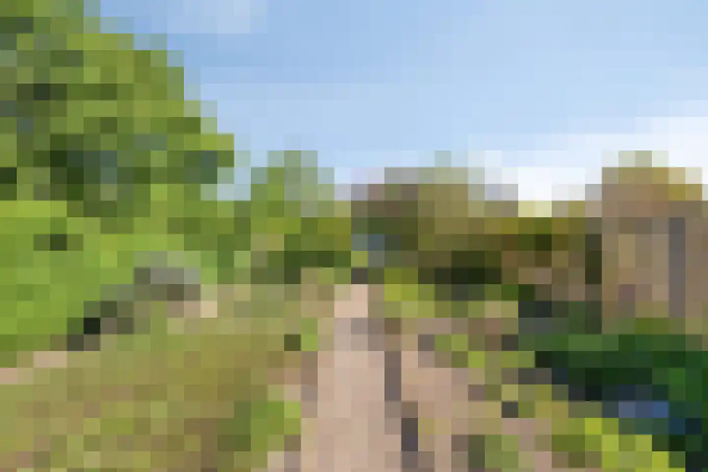 Maasdijk 11 Nederasselt thumbnail 53