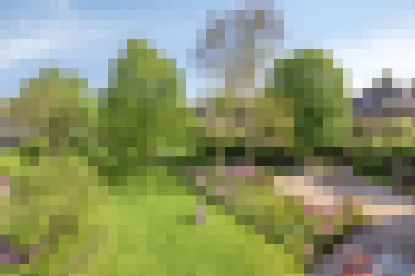 Maasdijk 11 Nederasselt thumbnail 55