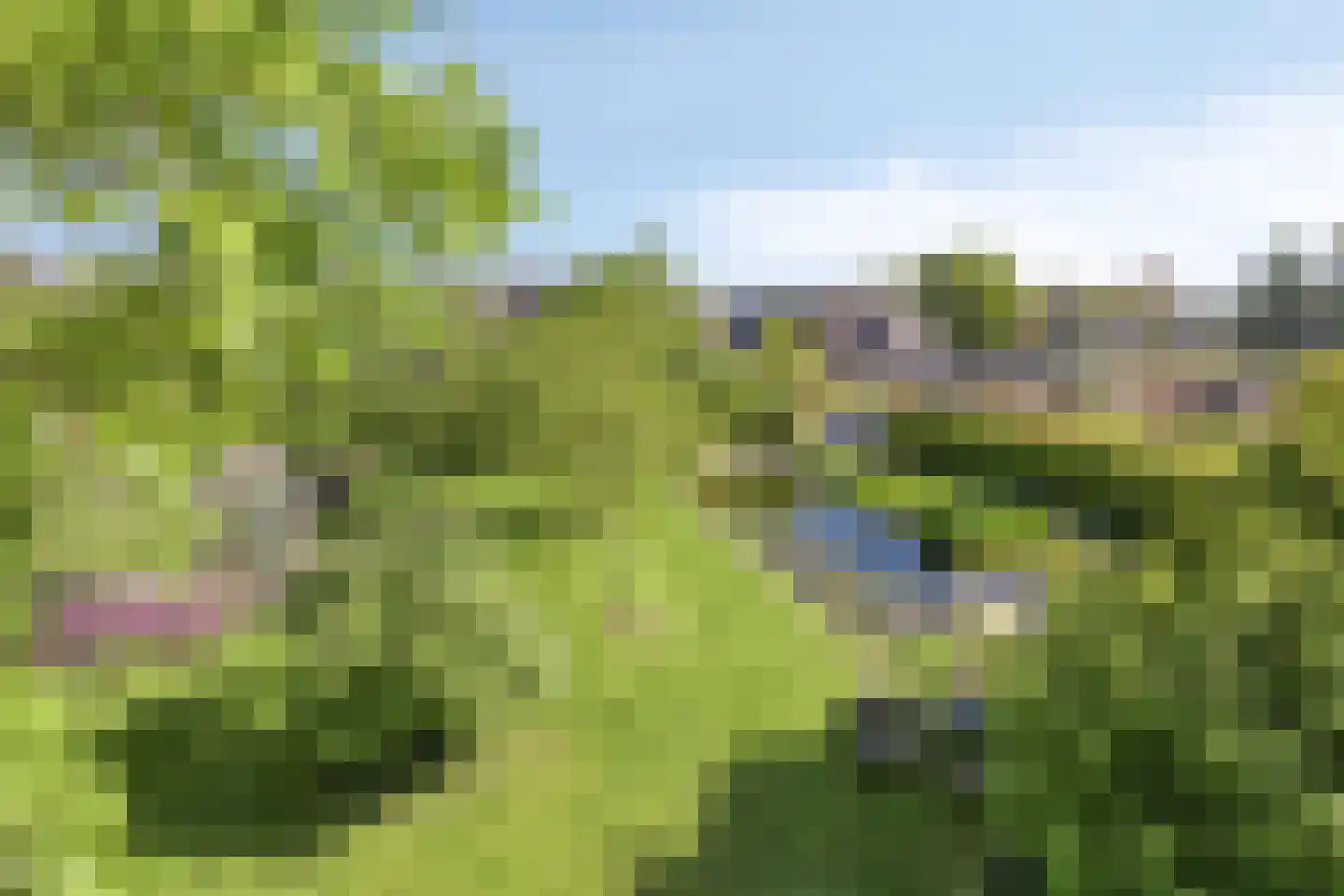 Maasdijk 11 Nederasselt thumbnail 56