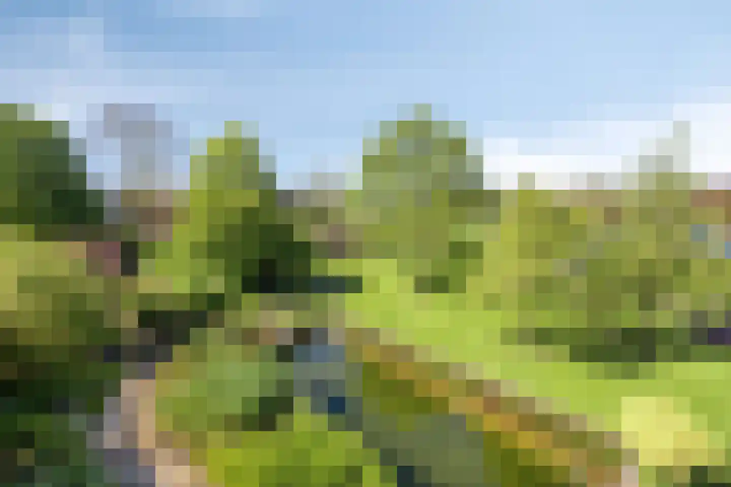 Maasdijk 11 Nederasselt thumbnail 57