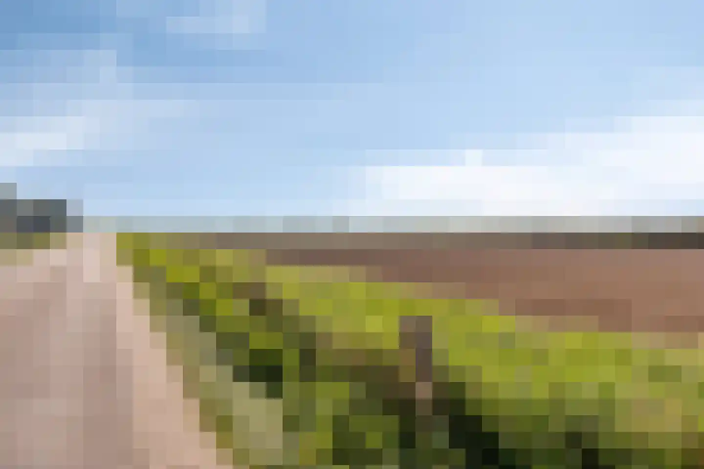 Maasdijk 11 Nederasselt thumbnail 58