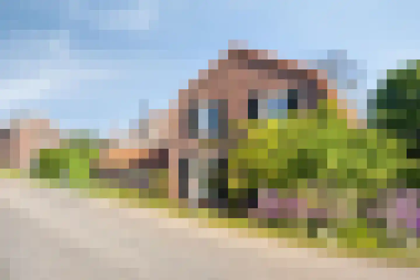 Maasdijk 11 Nederasselt thumbnail 6