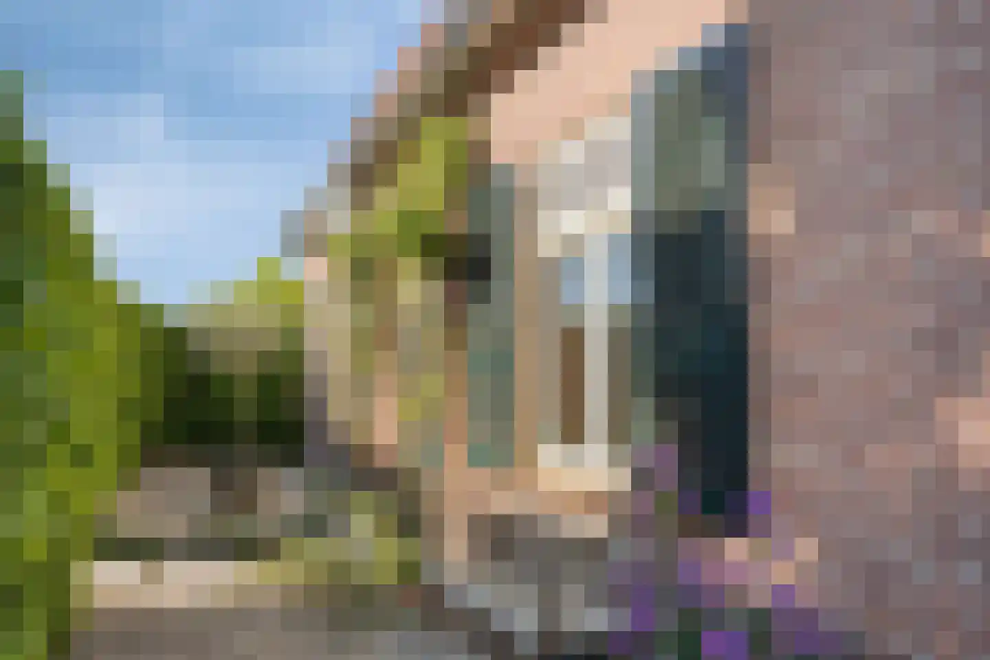 Maasdijk 11 Nederasselt thumbnail 8