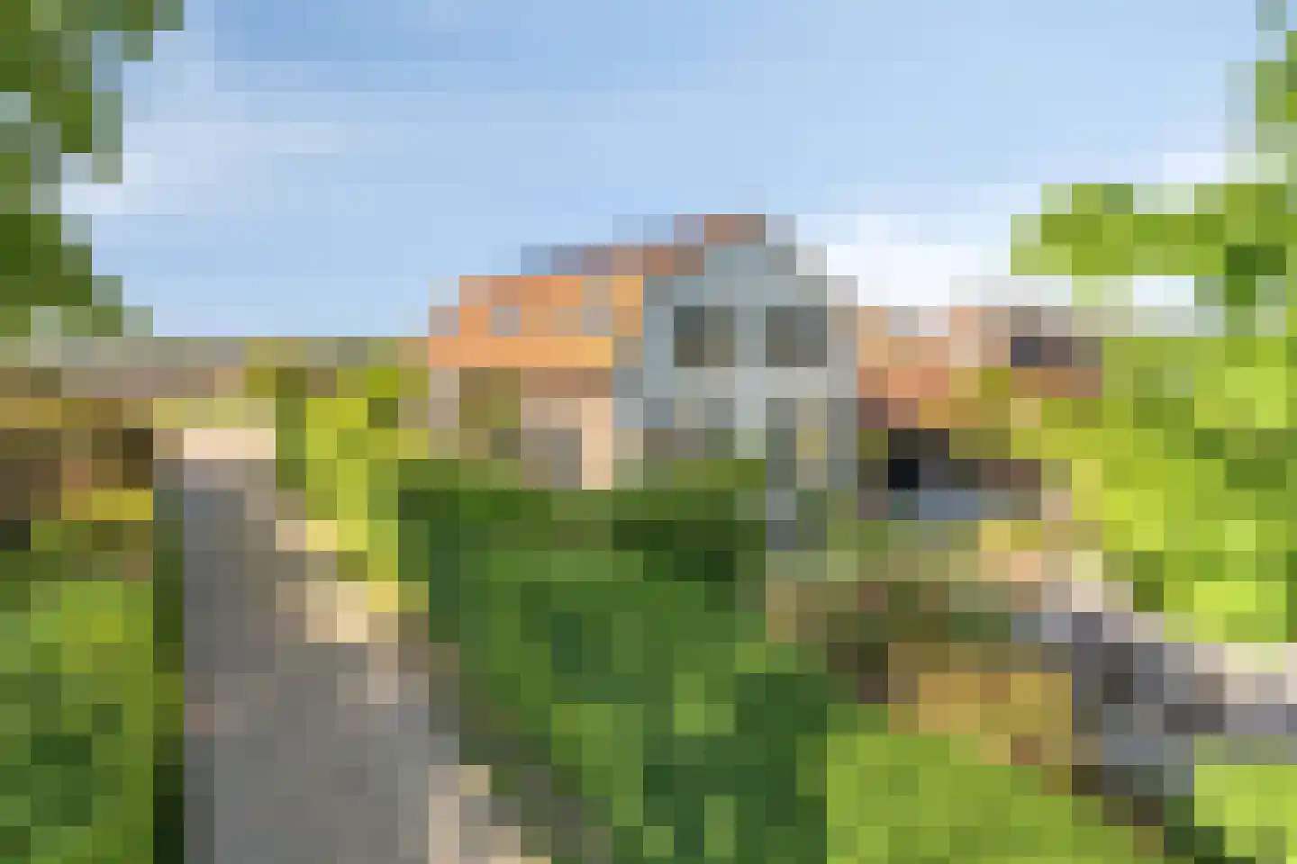 Maasdijk 11 Nederasselt thumbnail 9