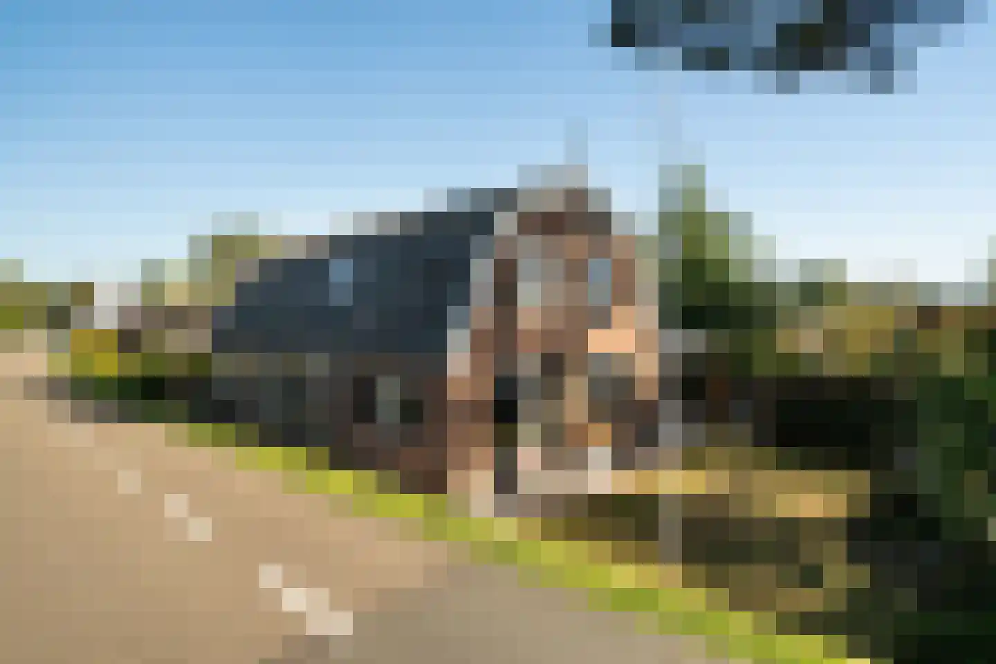 Maasdijk 12 in Wijk en Aalburg