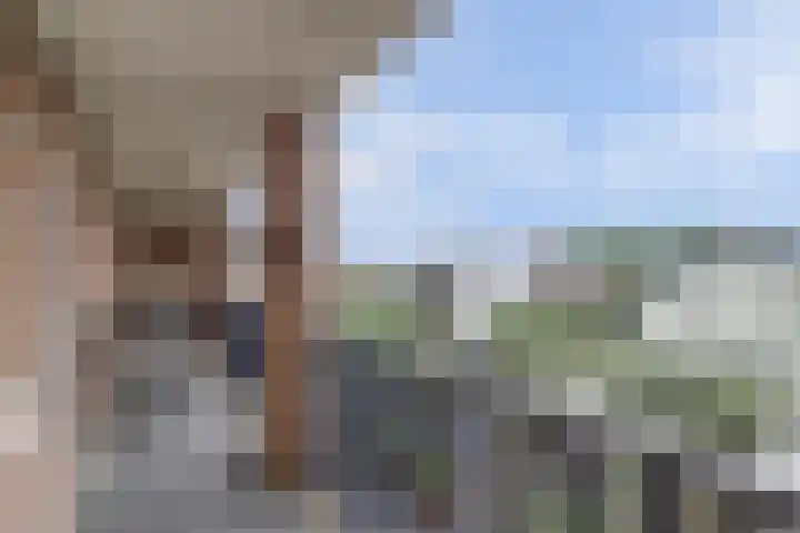 Maasdijk 12 b Rijswijk (NB) thumbnail 22