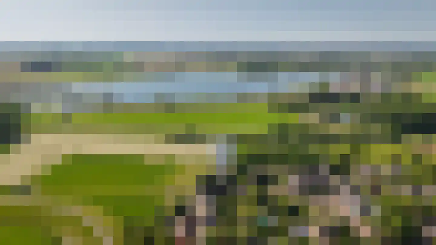 Maasdijk 12 Rossum thumbnail 100