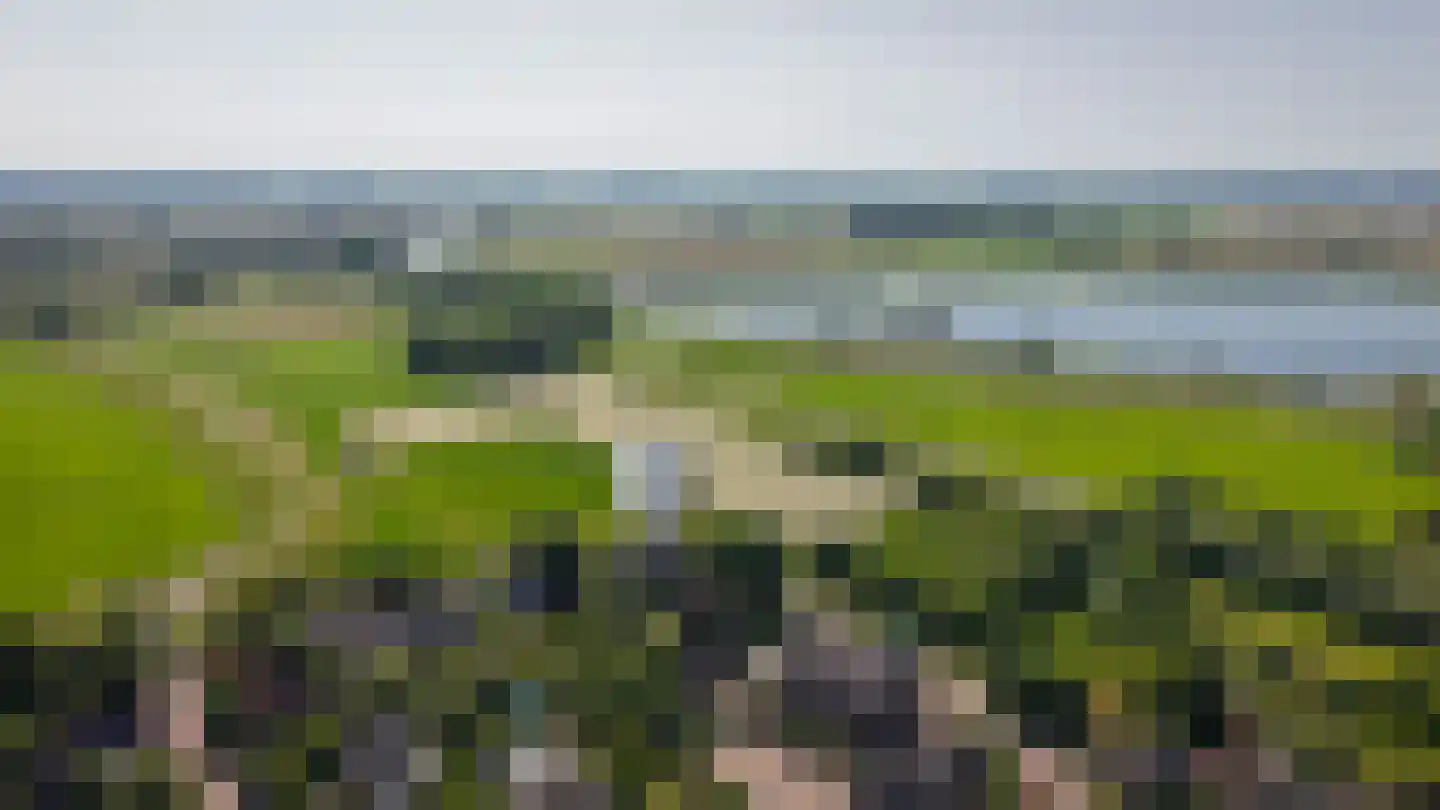 Maasdijk 12 Rossum thumbnail 101