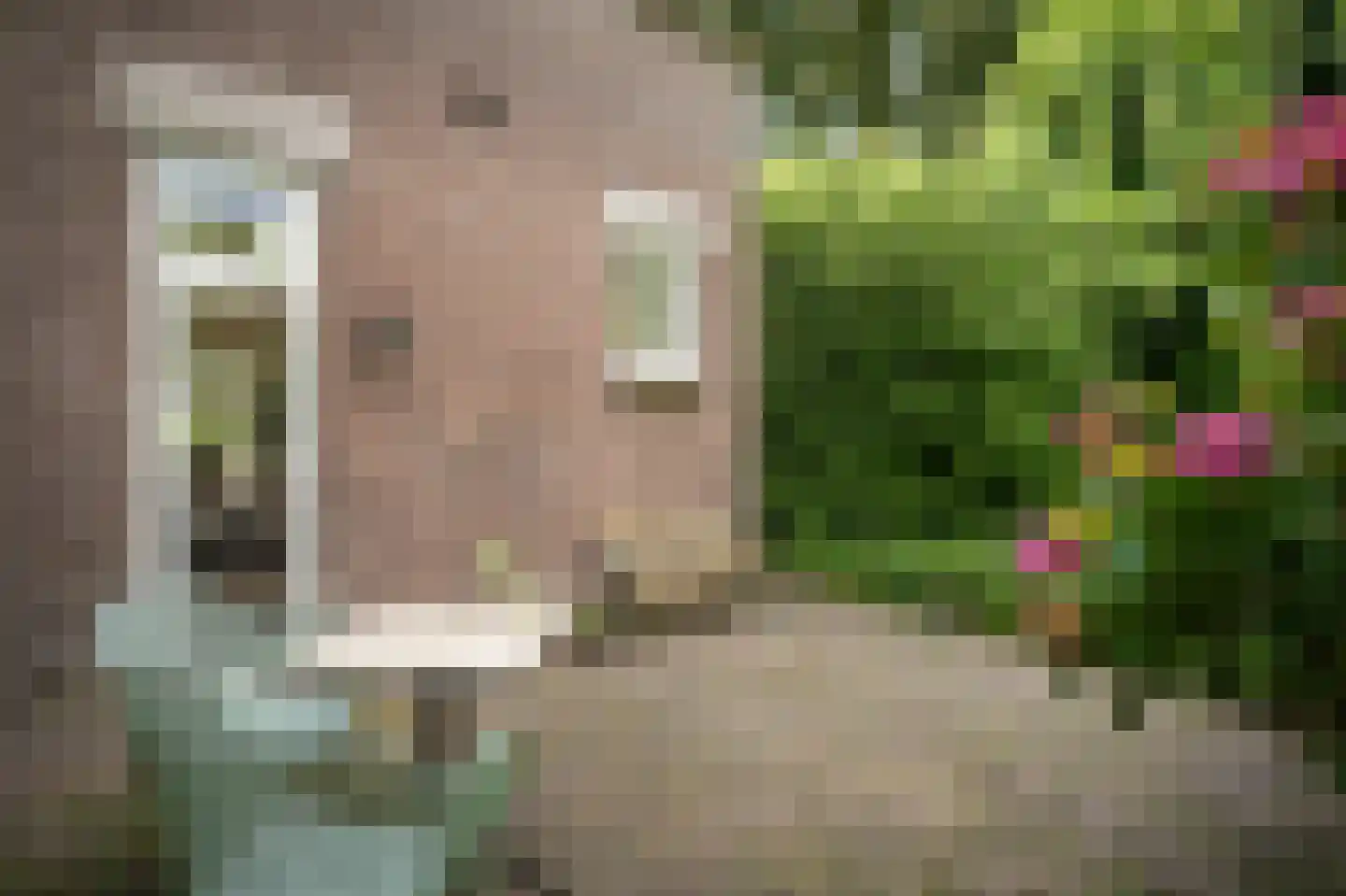 Maasdijk 12 Rossum thumbnail 21
