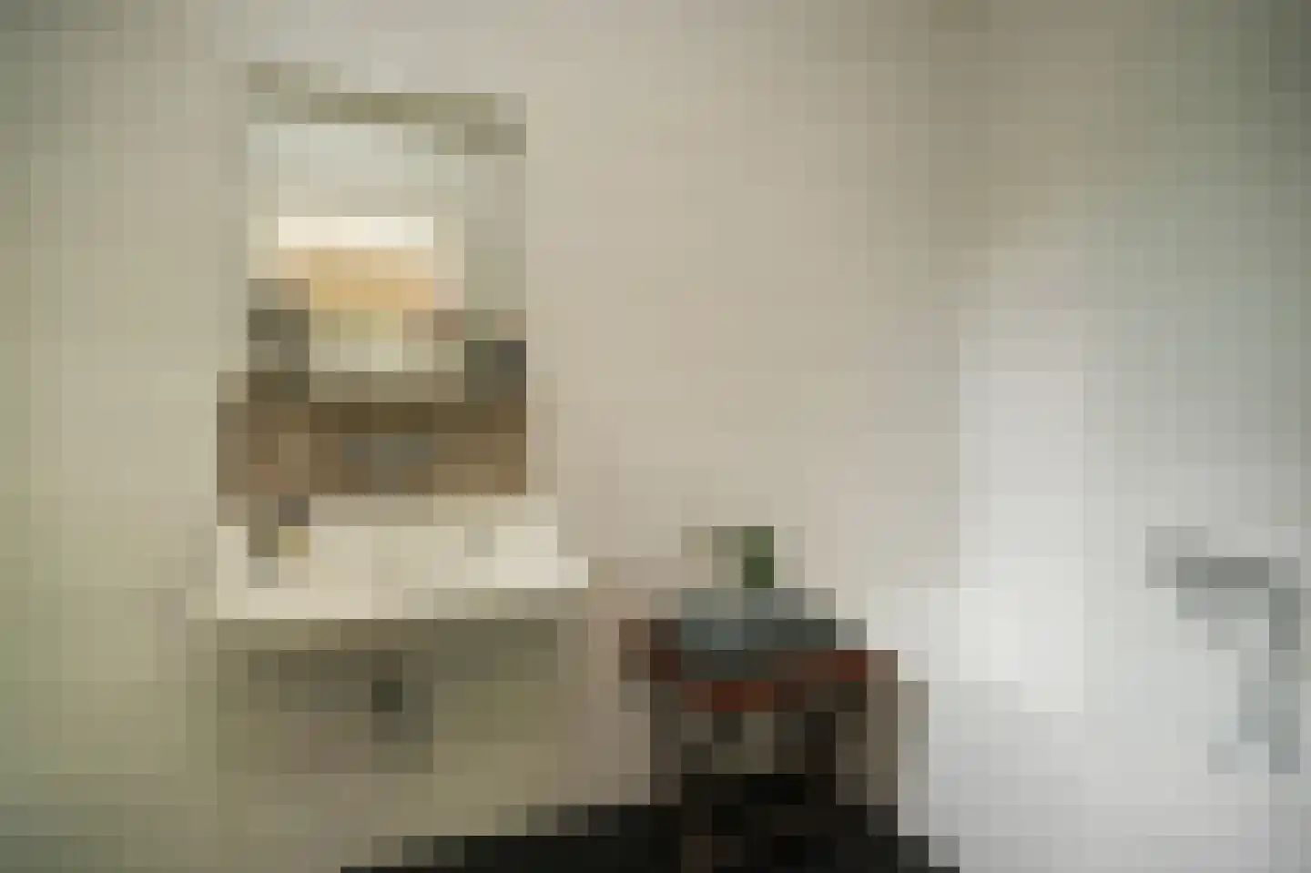 Maasdijk 12 Rossum thumbnail 31