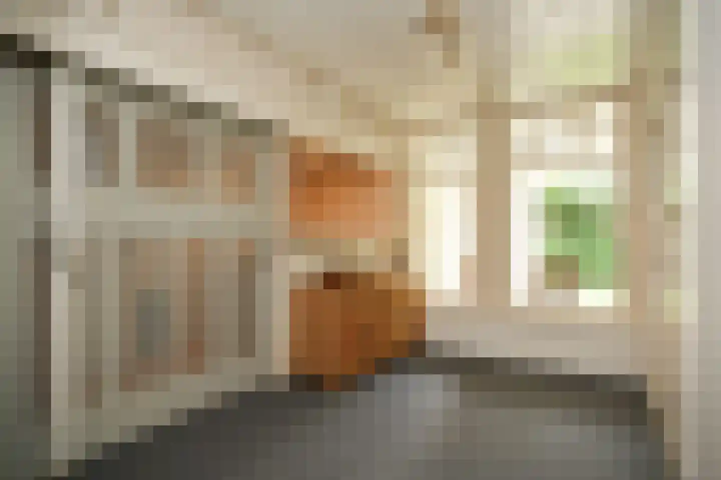 Maasdijk 12 Rossum thumbnail 32