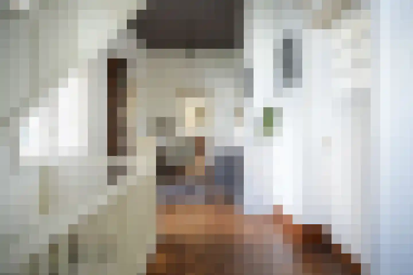 Maasdijk 12 Rossum thumbnail 35