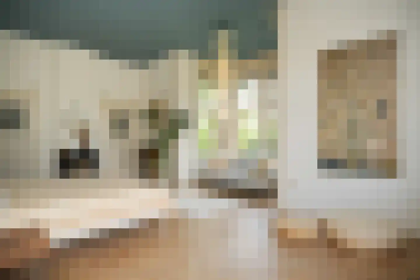 Maasdijk 12 Rossum thumbnail 39
