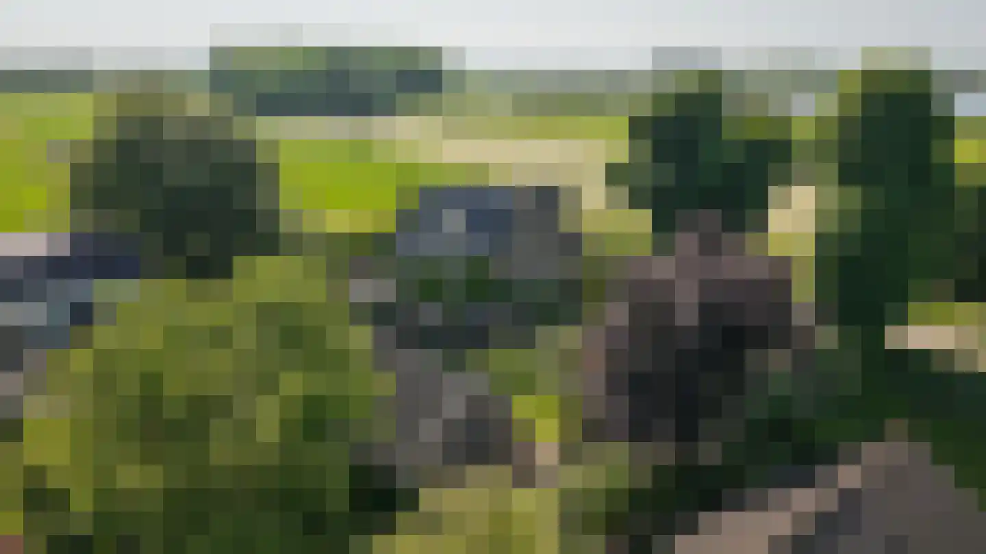 Maasdijk 12 Rossum thumbnail 4