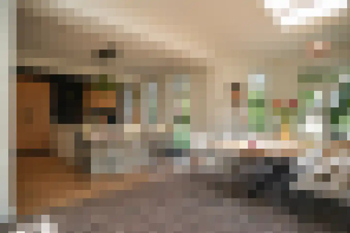 Maasdijk 12 Rossum thumbnail 6