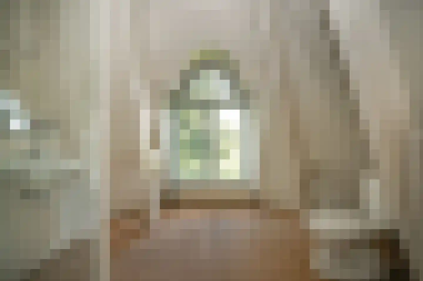 Maasdijk 12 Rossum thumbnail 62