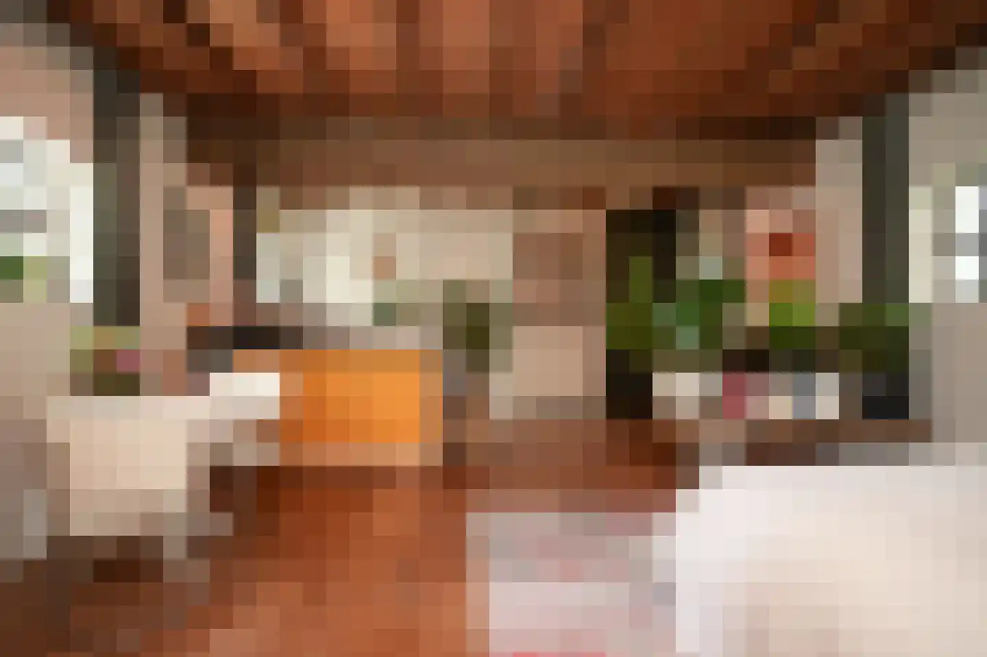 Maasdijk 12 Rossum thumbnail 67