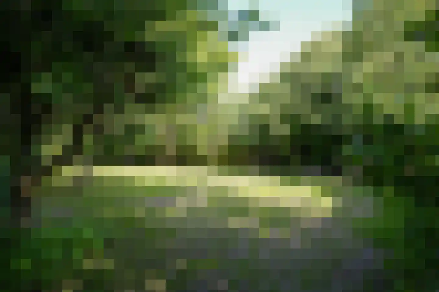 Maasdijk 12 Rossum thumbnail 84