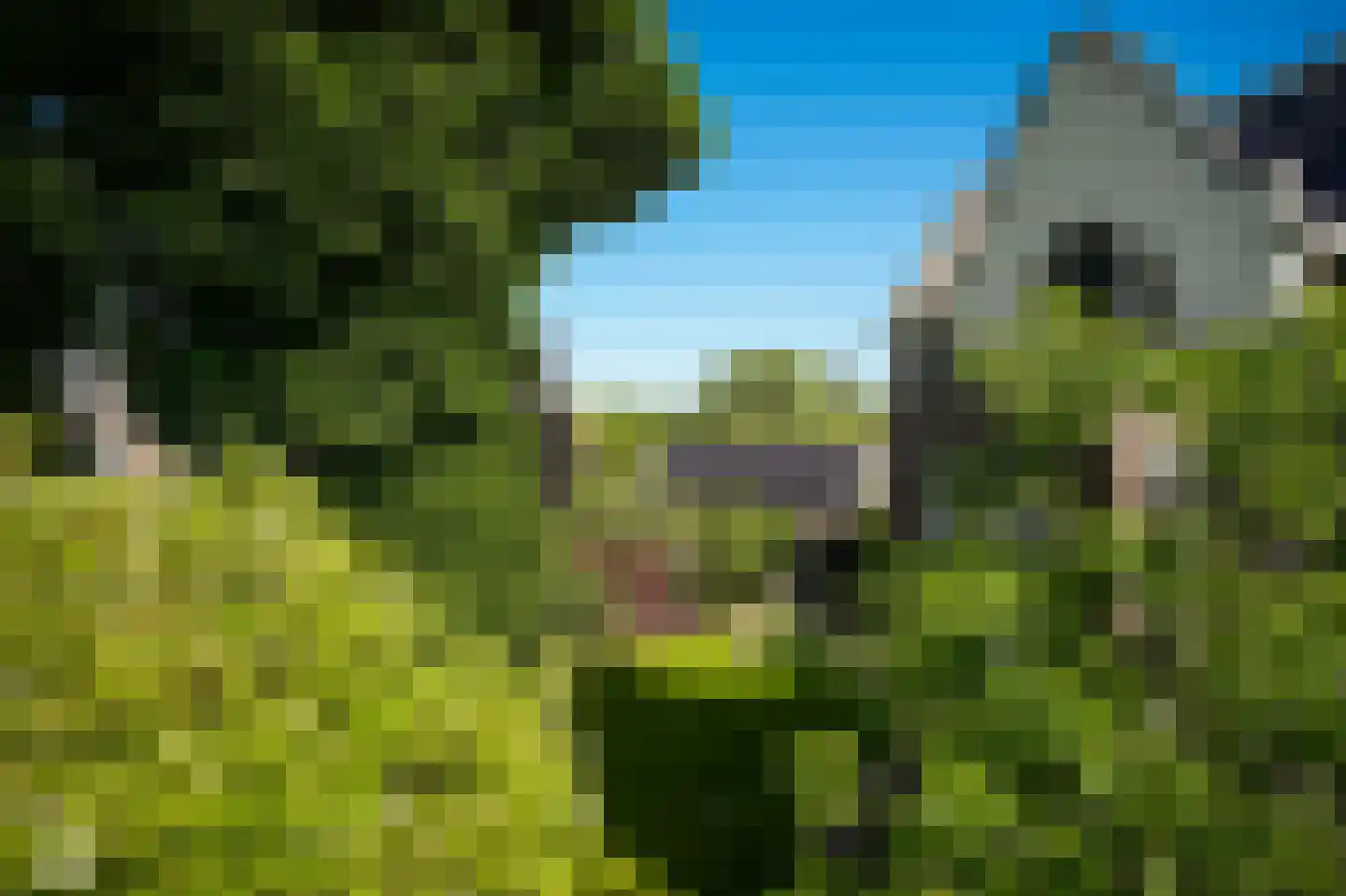 Maasdijk 12 Rossum thumbnail 88