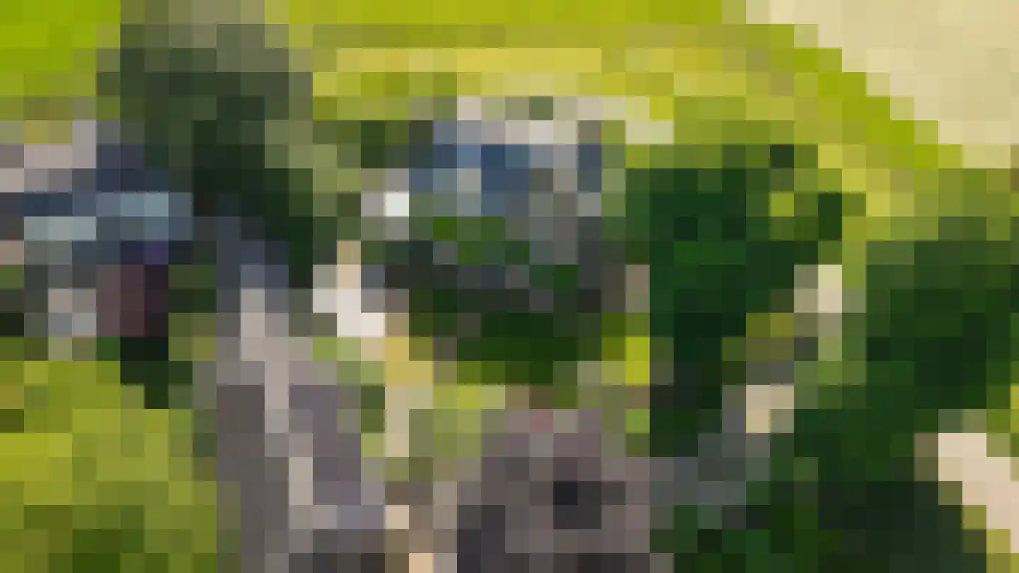 Maasdijk 12 Rossum thumbnail 93
